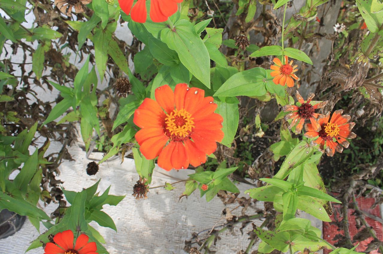 Real Primaveras Campestre เอสการ์เซกา ภายนอก รูปภาพ